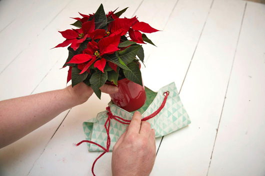 ��������� � ������� ������